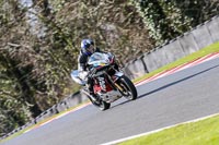 Oulton-Park-20th-March-2020;PJ-Motorsport-Photography-2020;anglesey;brands-hatch;cadwell-park;croft;donington-park;enduro-digital-images;event-digital-images;eventdigitalimages;mallory;no-limits;oulton-park;peter-wileman-photography;racing-digital-images;silverstone;snetterton;trackday-digital-images;trackday-photos;vmcc-banbury-run;welsh-2-day-enduro
